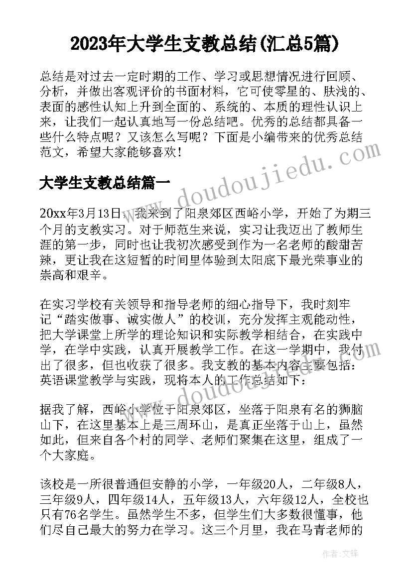 2023年大学生支教总结(汇总5篇)