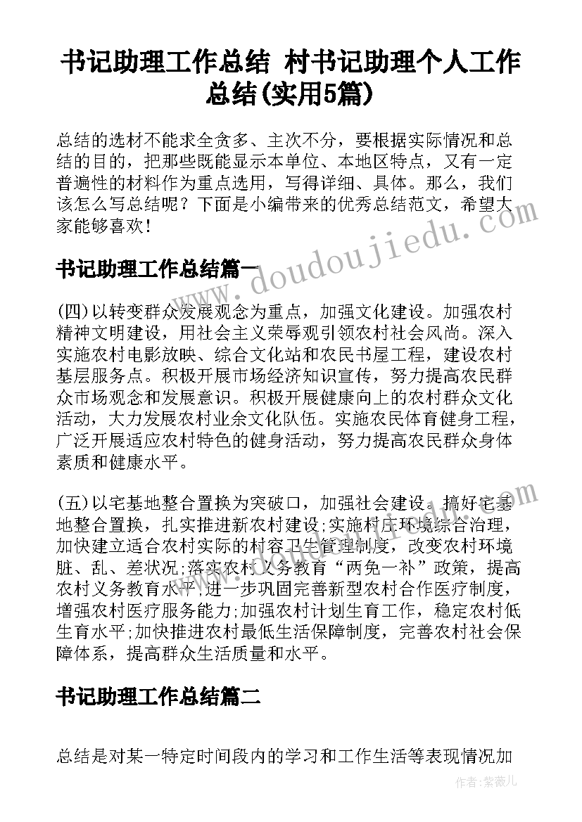 书记助理工作总结 村书记助理个人工作总结(实用5篇)