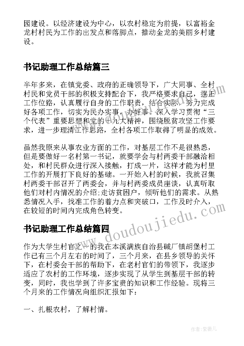 书记助理工作总结 村书记助理个人工作总结(实用5篇)