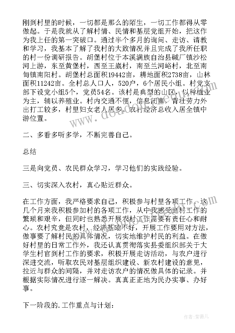 书记助理工作总结 村书记助理个人工作总结(实用5篇)