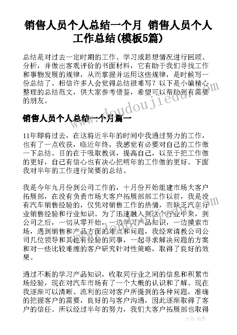 销售人员个人总结一个月 销售人员个人工作总结(模板5篇)