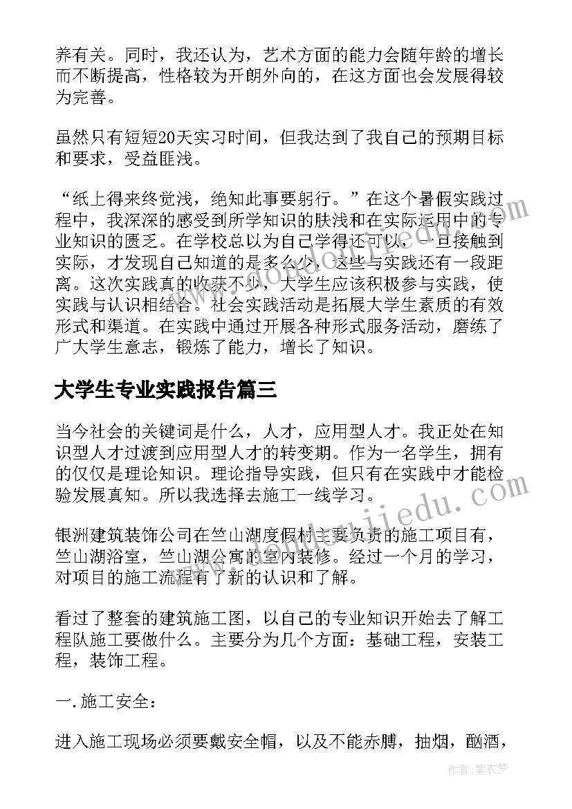 大学生专业实践报告 会计专业大学生社会实践报告(模板10篇)