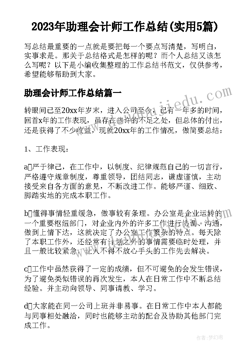 2023年助理会计师工作总结(实用5篇)