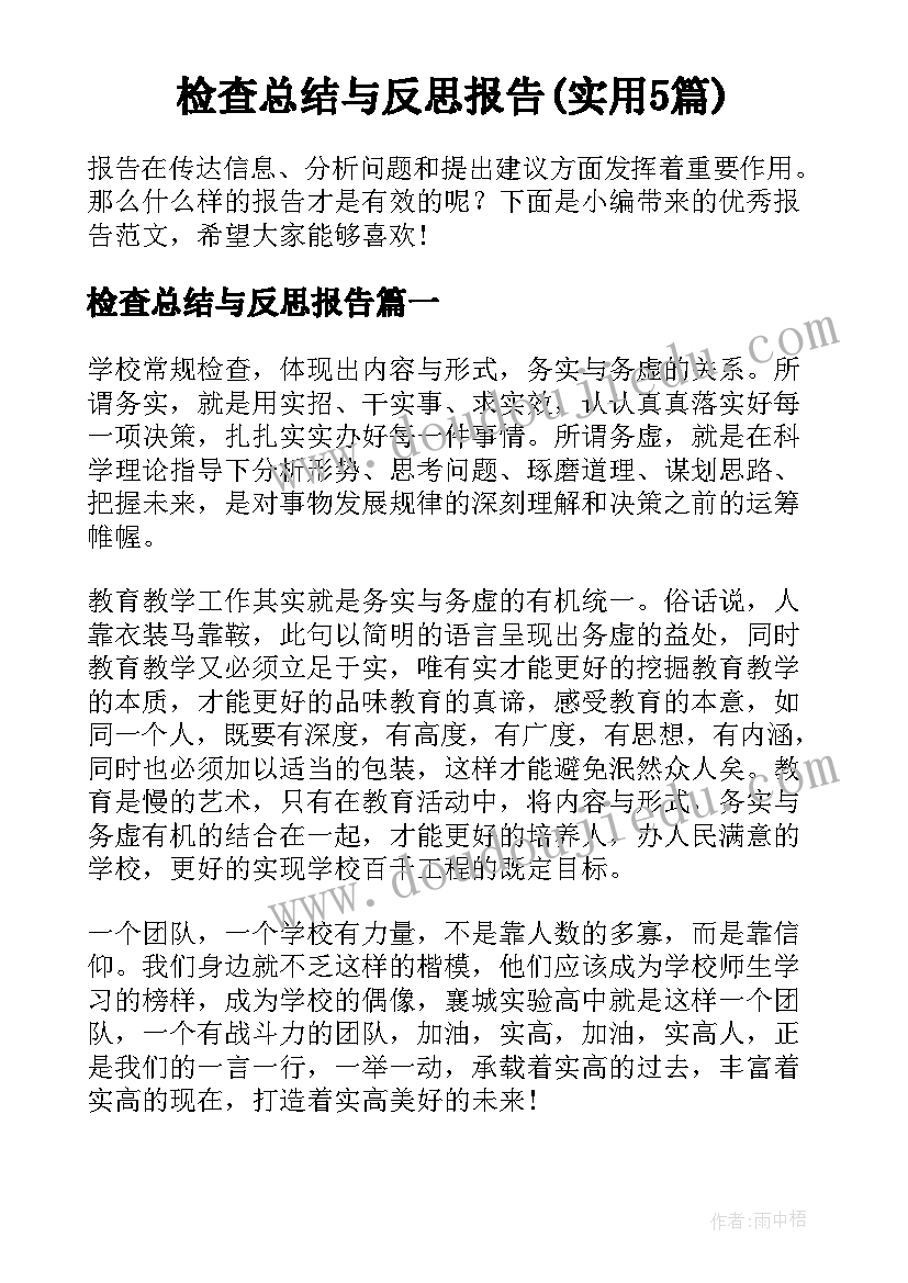 检查总结与反思报告(实用5篇)