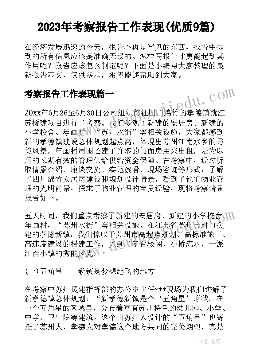 2023年考察报告工作表现(优质9篇)