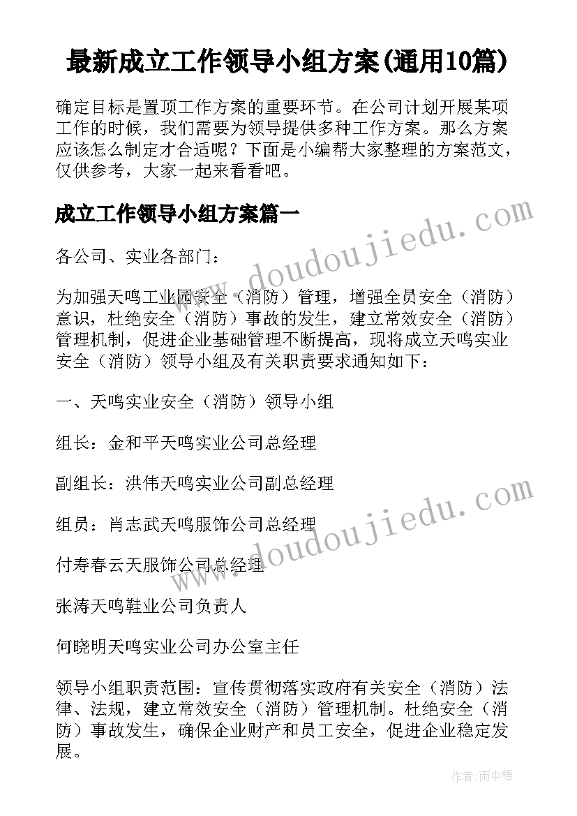 最新成立工作领导小组方案(通用10篇)