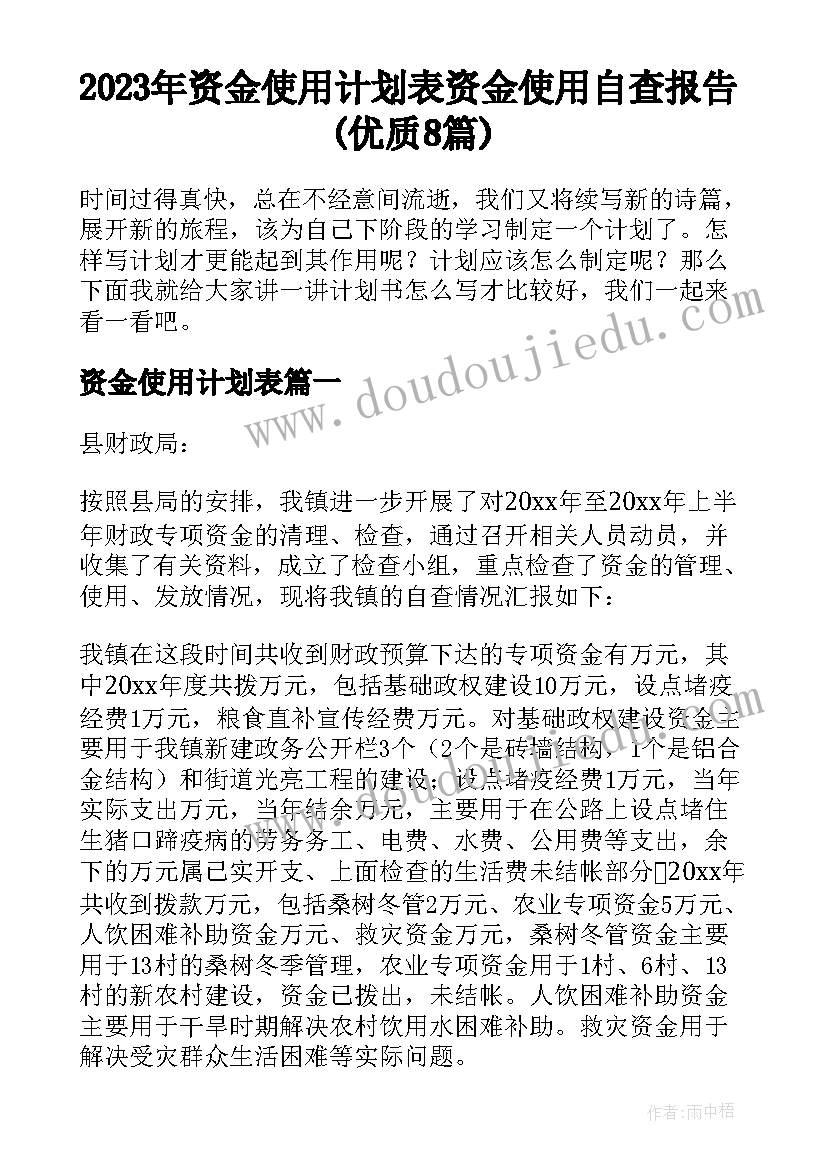 2023年资金使用计划表 资金使用自查报告(优质8篇)