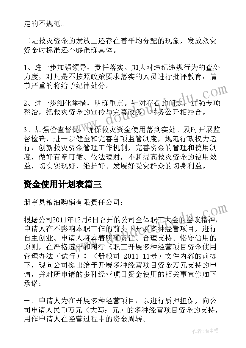 2023年资金使用计划表 资金使用自查报告(优质8篇)