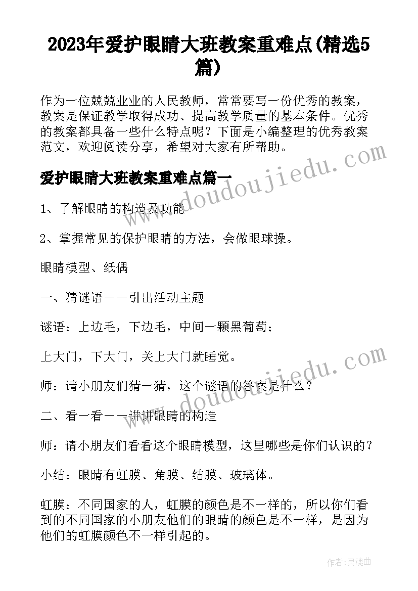 2023年爱护眼睛大班教案重难点(精选5篇)