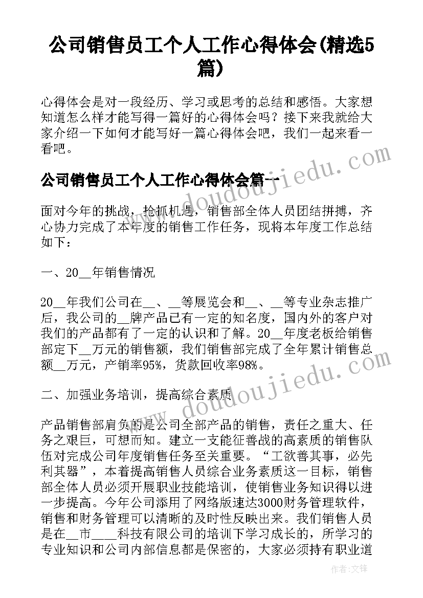 公司销售员工个人工作心得体会(精选5篇)