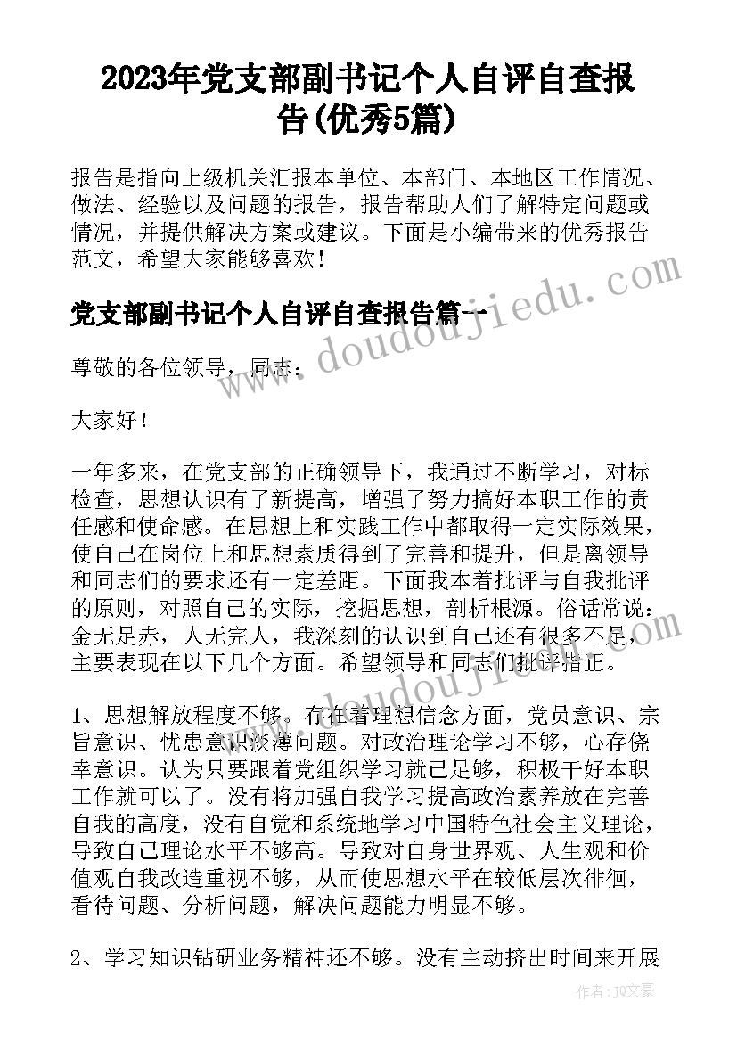 2023年党支部副书记个人自评自查报告(优秀5篇)