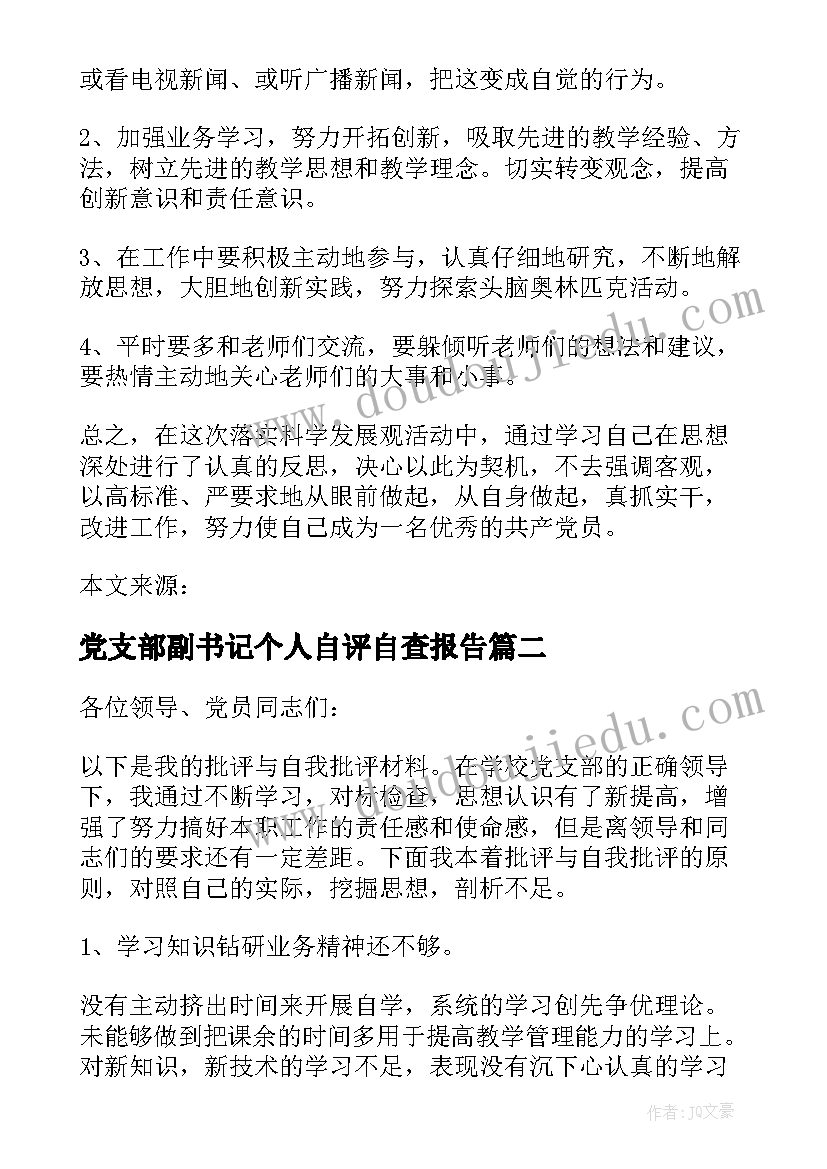 2023年党支部副书记个人自评自查报告(优秀5篇)