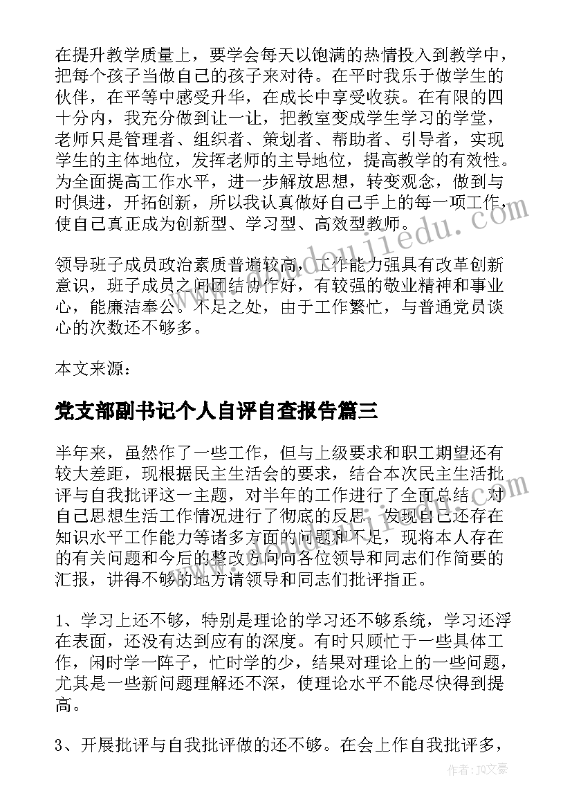 2023年党支部副书记个人自评自查报告(优秀5篇)