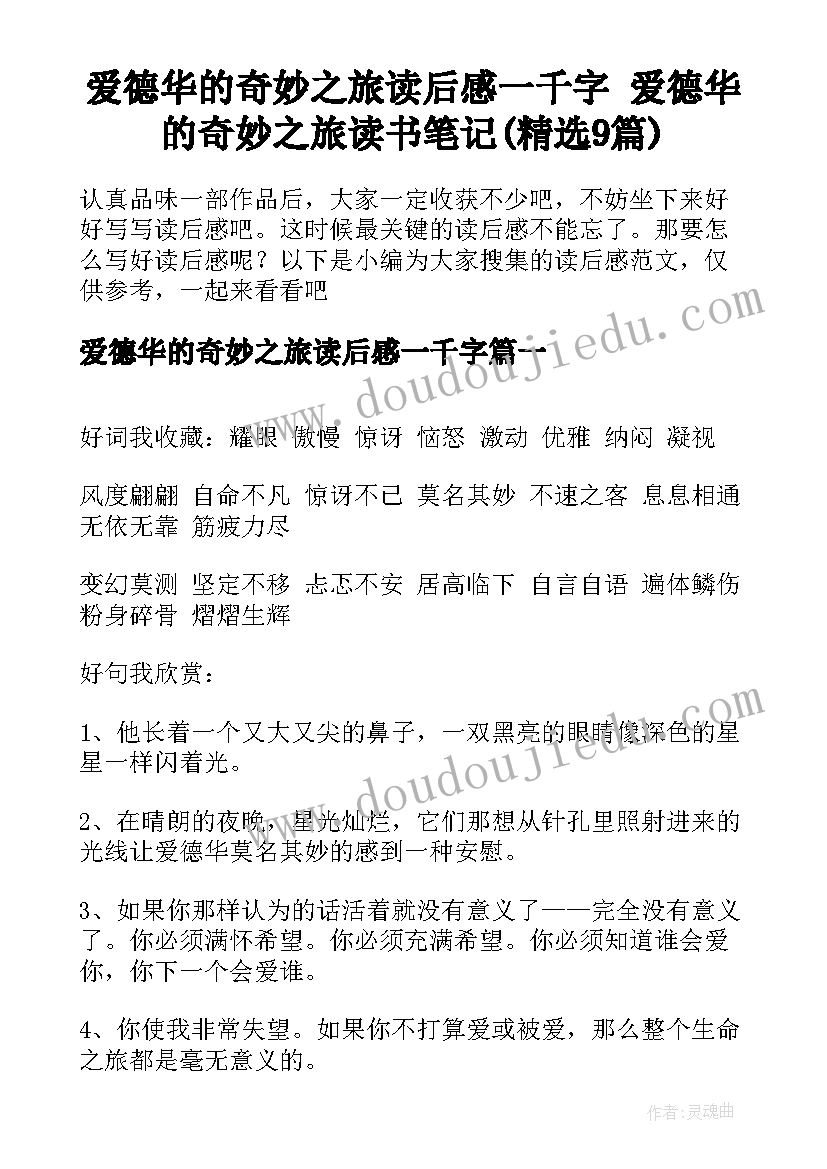 爱德华的奇妙之旅读后感一千字 爱德华的奇妙之旅读书笔记(精选9篇)