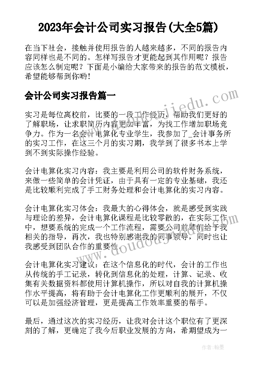 2023年会计公司实习报告(大全5篇)