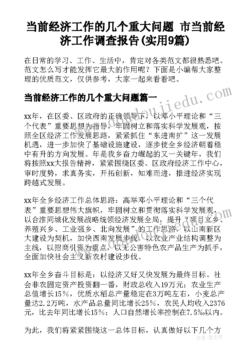 当前经济工作的几个重大问题 市当前经济工作调查报告(实用9篇)