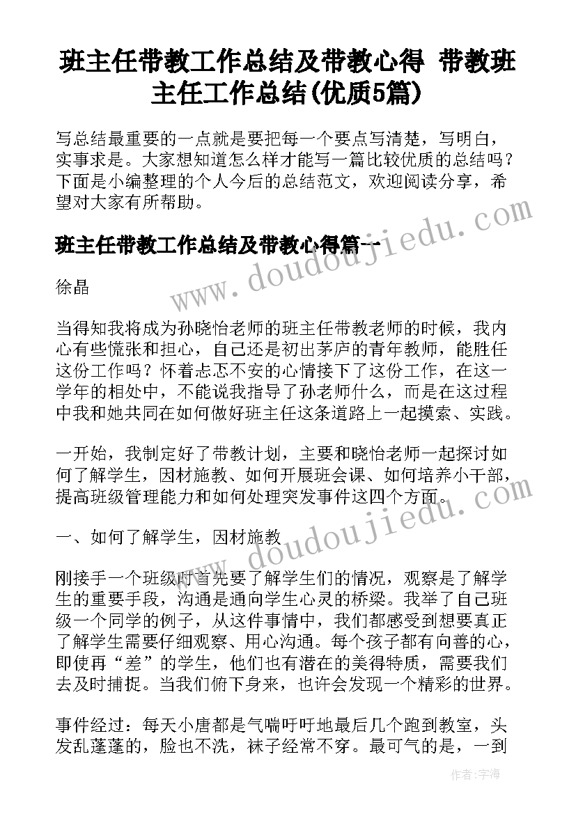 班主任带教工作总结及带教心得 带教班主任工作总结(优质5篇)