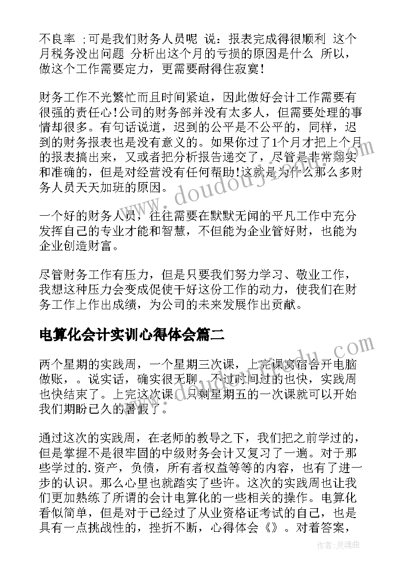 最新电算化会计实训心得体会(优秀5篇)