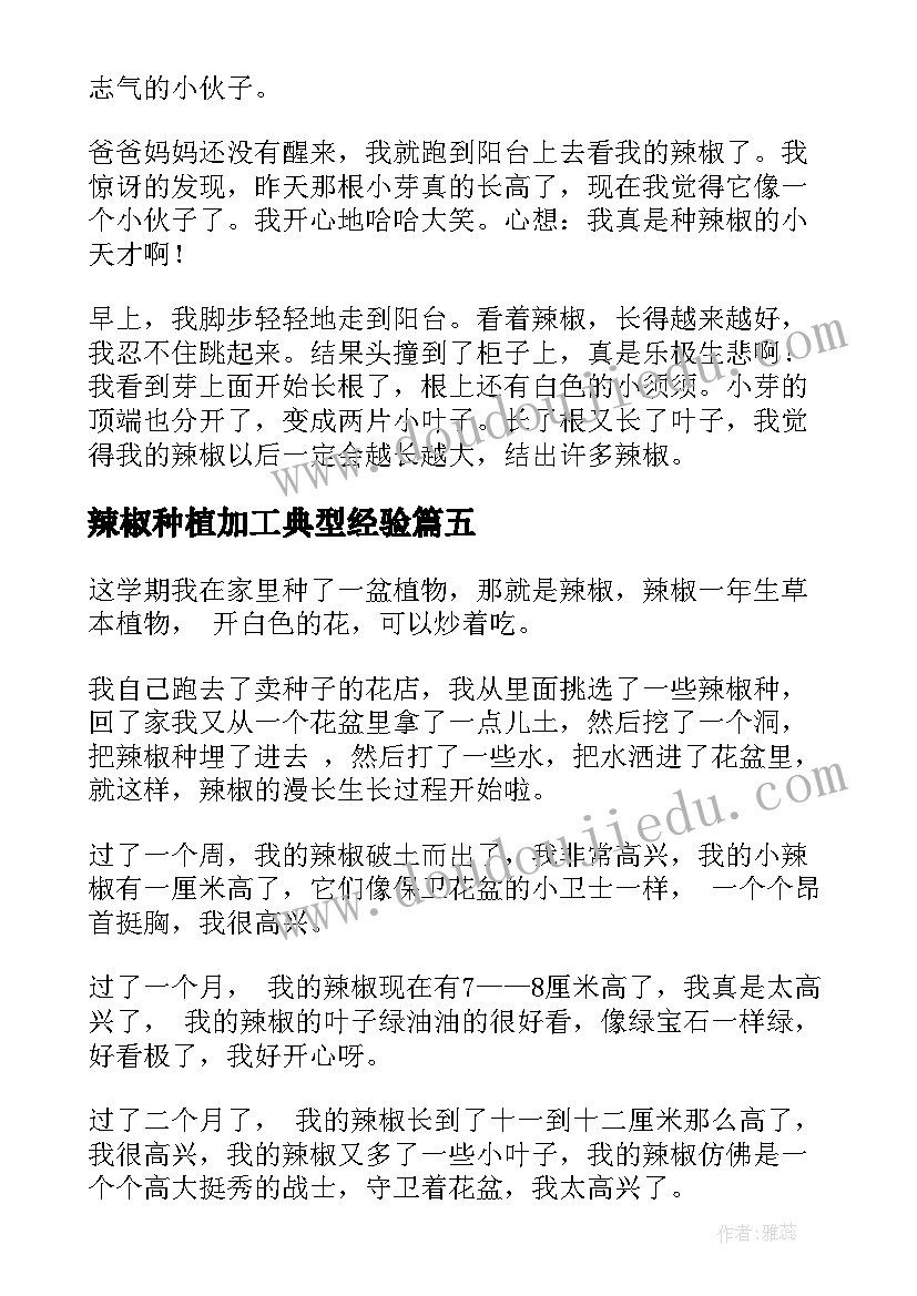 2023年辣椒种植加工典型经验 辣椒的种植心得体会(模板5篇)