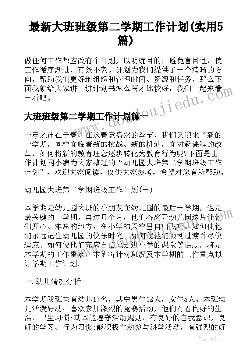 最新大班班级第二学期工作计划(实用5篇)