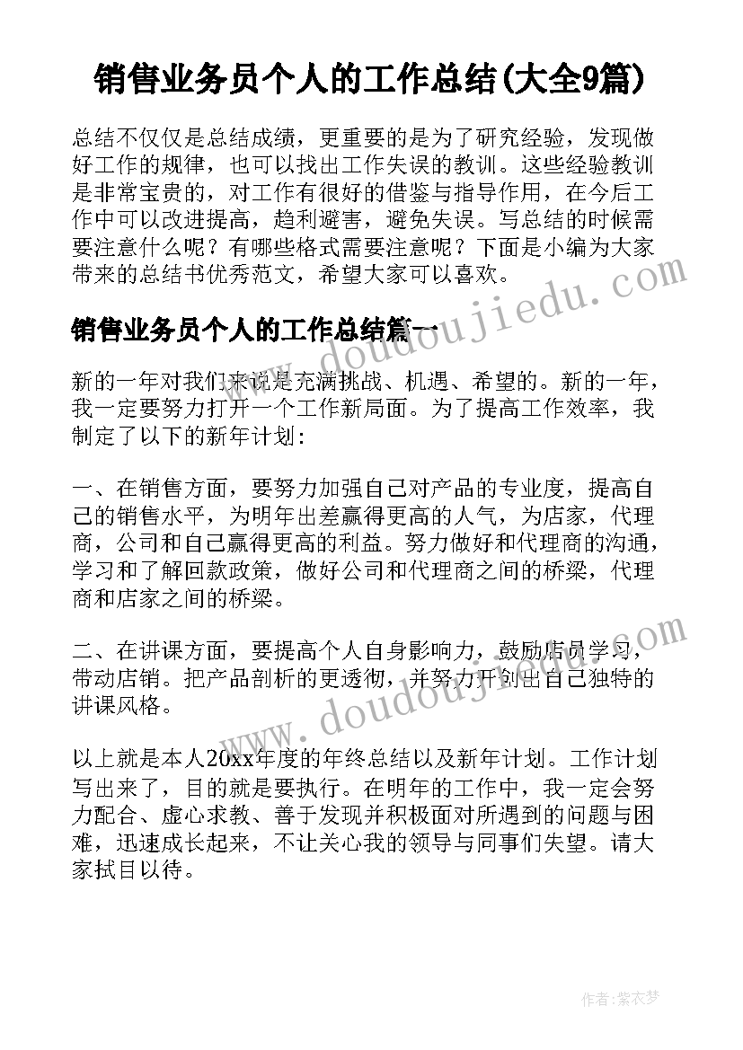 销售业务员个人的工作总结(大全9篇)