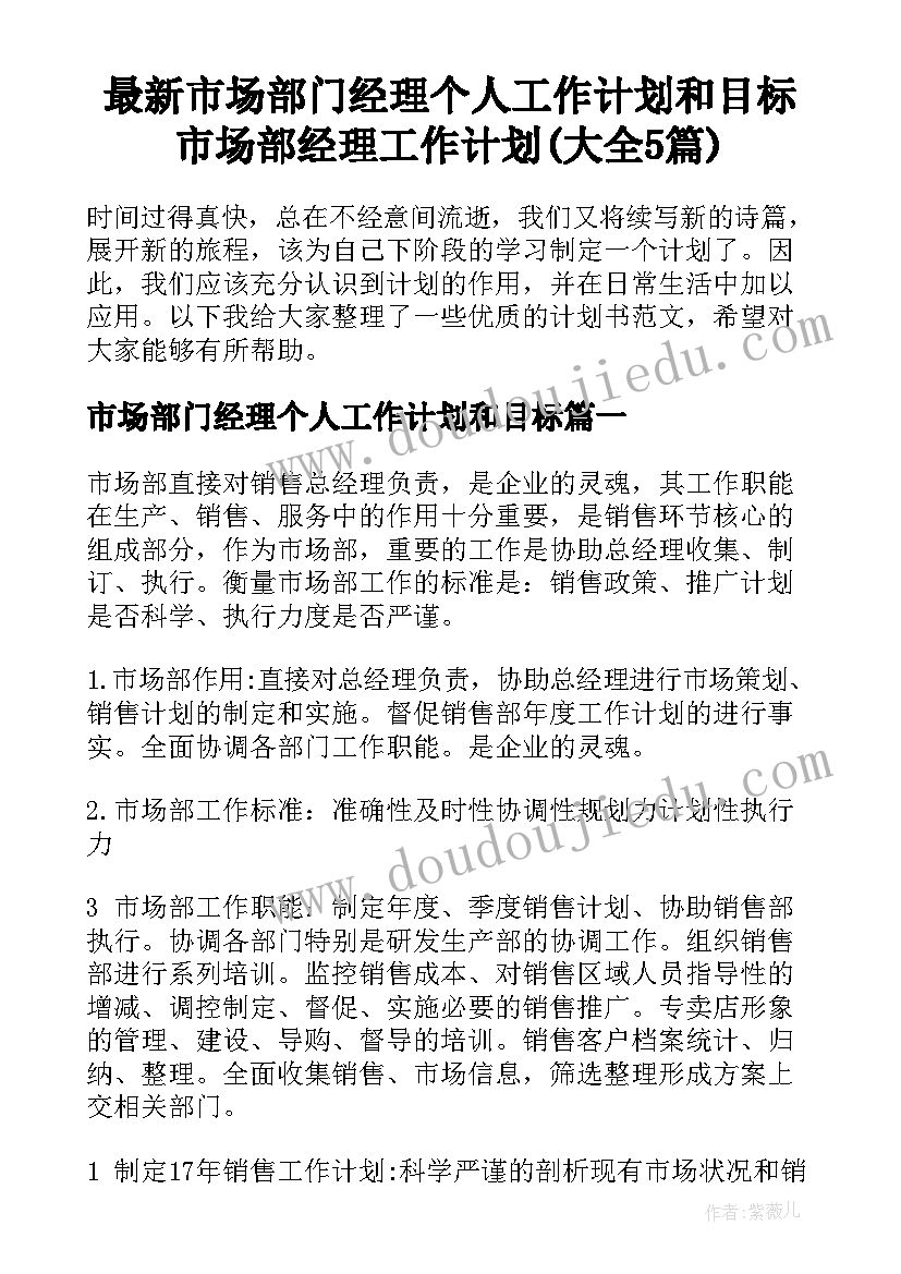 最新市场部门经理个人工作计划和目标 市场部经理工作计划(大全5篇)