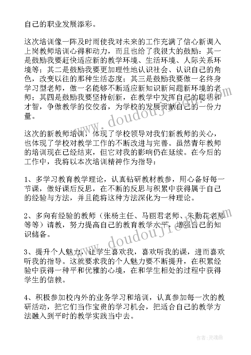 青年教师培训心得体会(优质5篇)