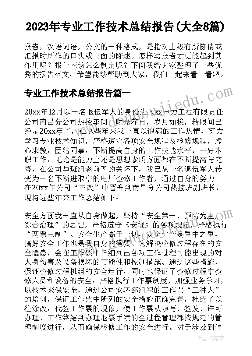 2023年专业工作技术总结报告(大全8篇)