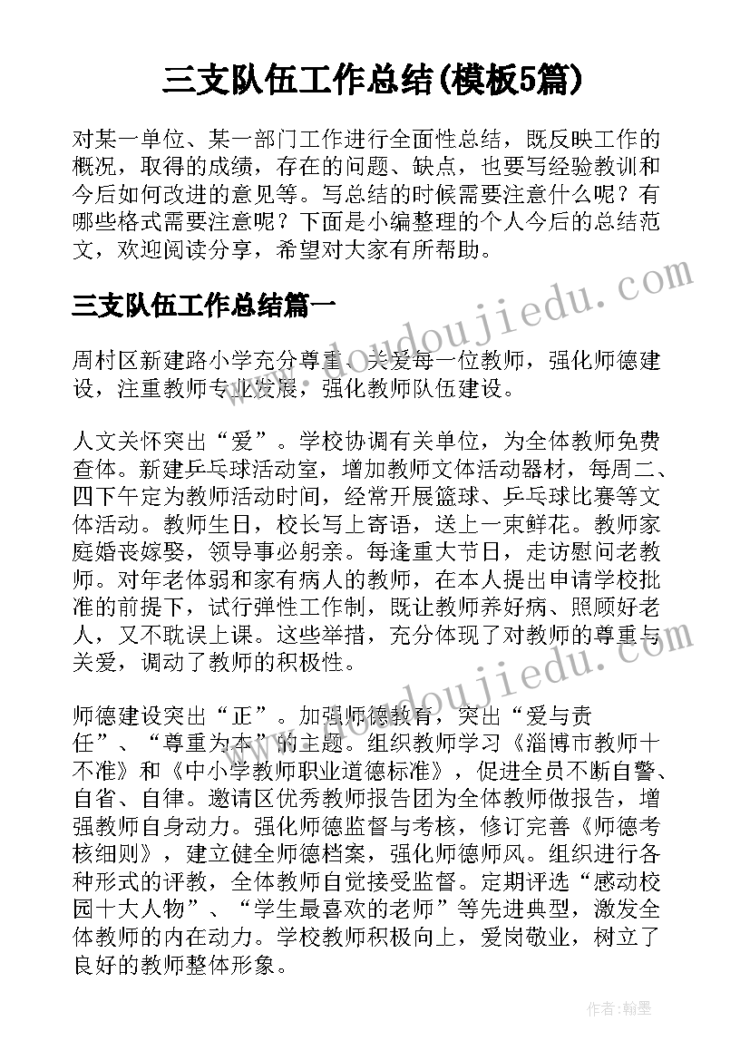 三支队伍工作总结(模板5篇)