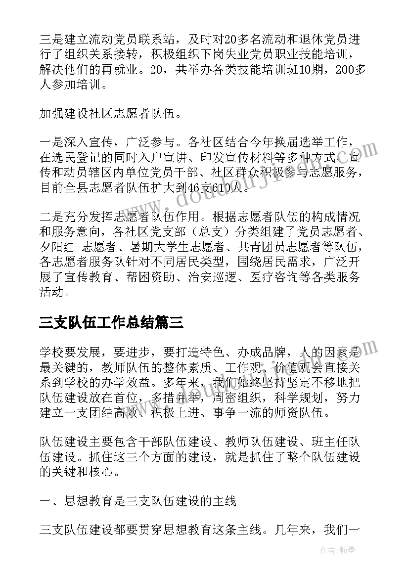 三支队伍工作总结(模板5篇)