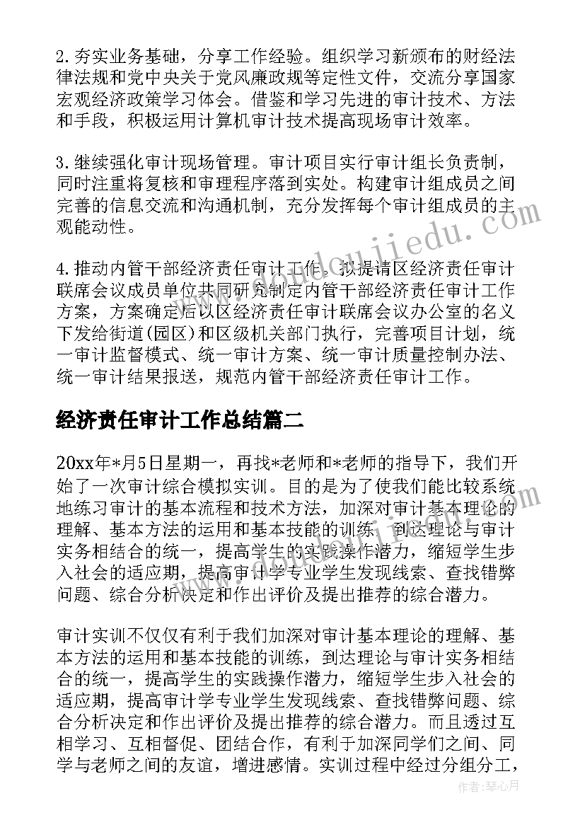 2023年经济责任审计工作总结 经济责任审计的工作总结(汇总5篇)