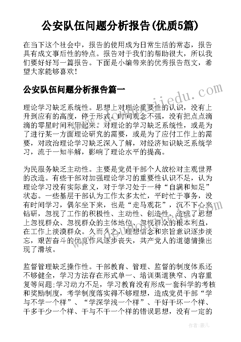 公安队伍问题分析报告(优质5篇)