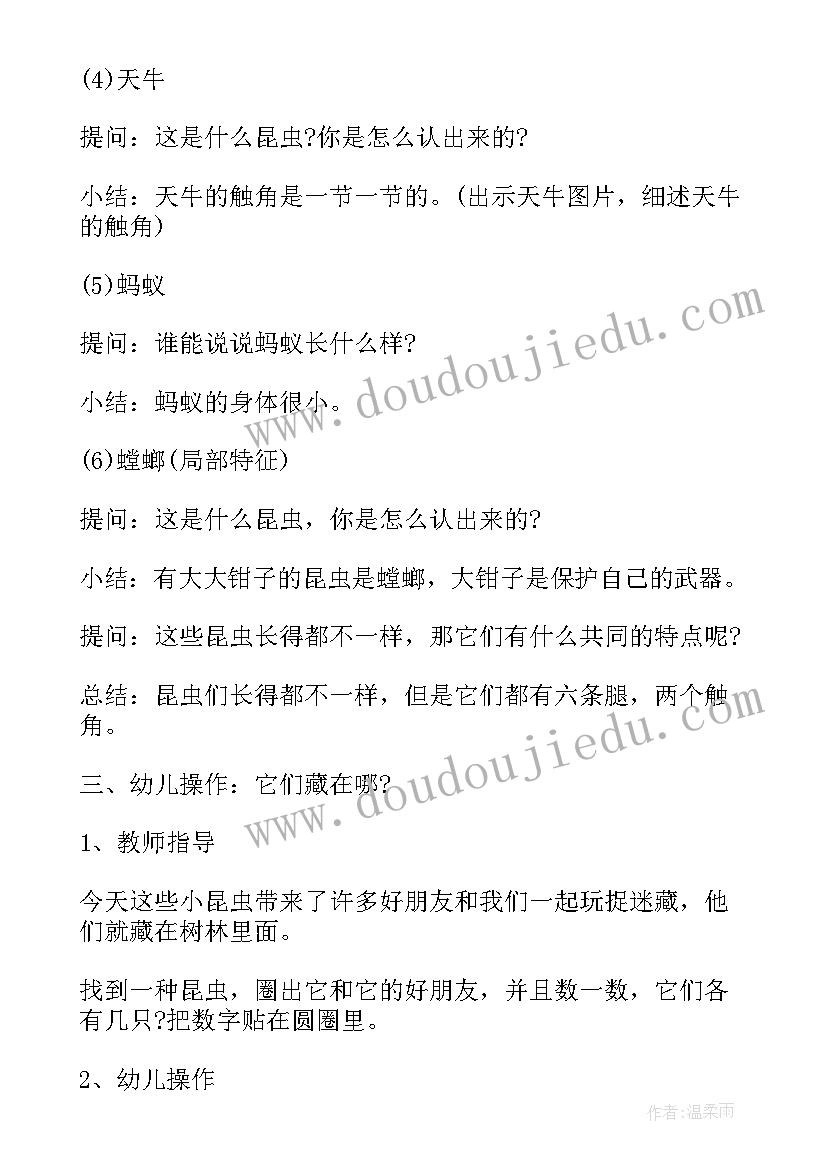 昆虫的聚会中班教案及反思总结(实用5篇)