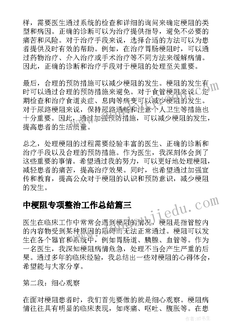 2023年中梗阻专项整治工作总结(优质5篇)