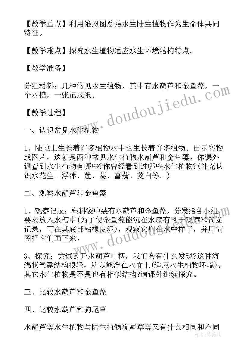 2023年小学科学教案 小学科学教案设计方案实施方案汇编(优质8篇)