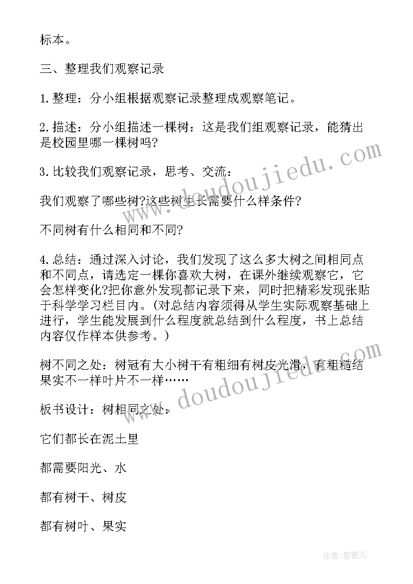 2023年小学科学教案 小学科学教案设计方案实施方案汇编(优质8篇)