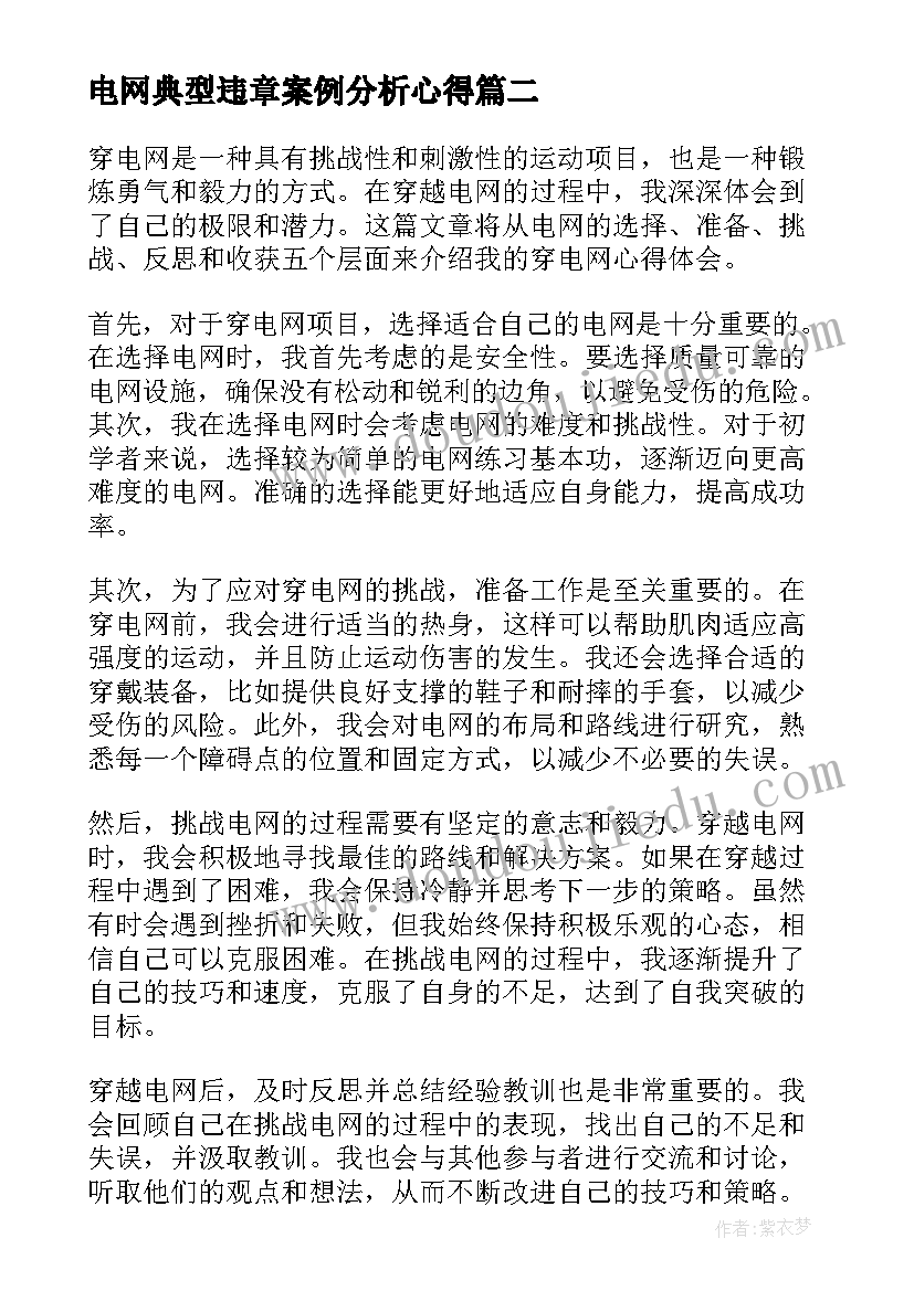 2023年电网典型违章案例分析心得 穿电网心得体会(实用6篇)