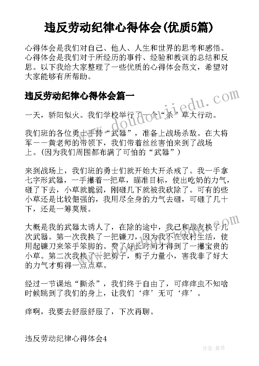 违反劳动纪律心得体会(优质5篇)