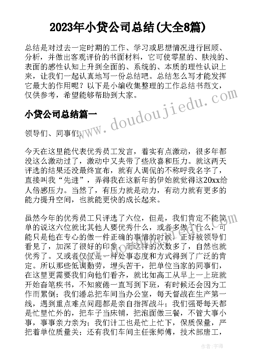 2023年小贷公司总结(大全8篇)