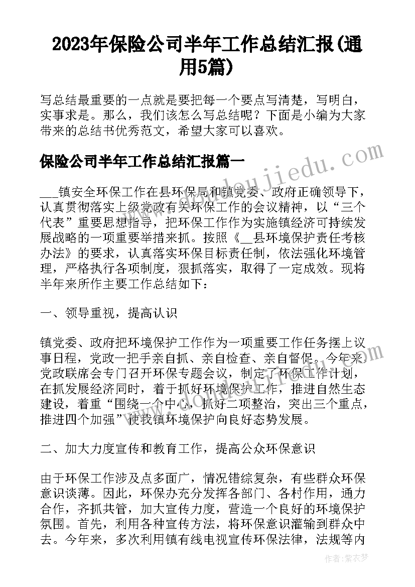 2023年保险公司半年工作总结汇报(通用5篇)