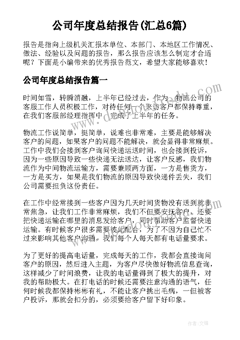 公司年度总结报告(汇总6篇)