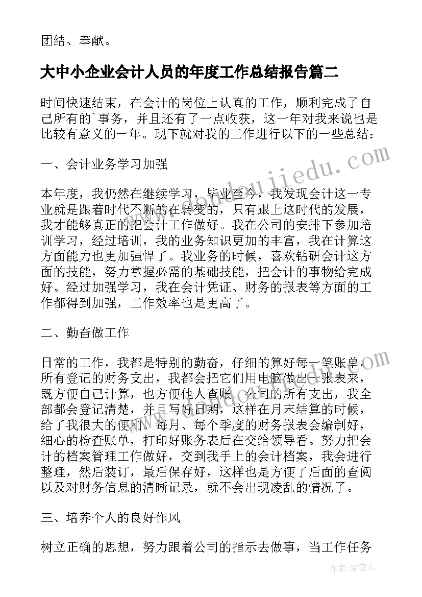 最新大中小企业会计人员的年度工作总结报告 会计人员年度工作总结(模板5篇)