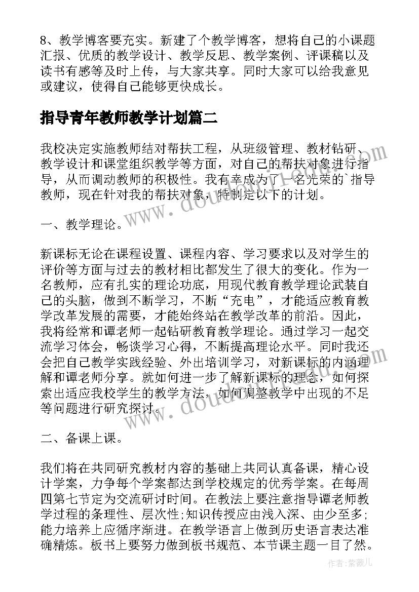 2023年指导青年教师教学计划 指导青年教师工作计划(模板10篇)