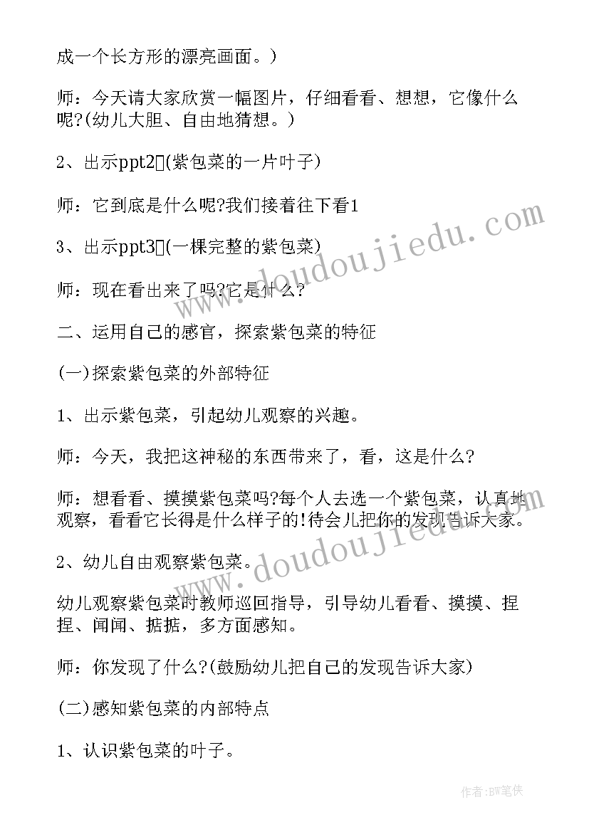 最新幼儿有趣活动简笔画 幼儿园中班有趣科学活动教案(大全7篇)