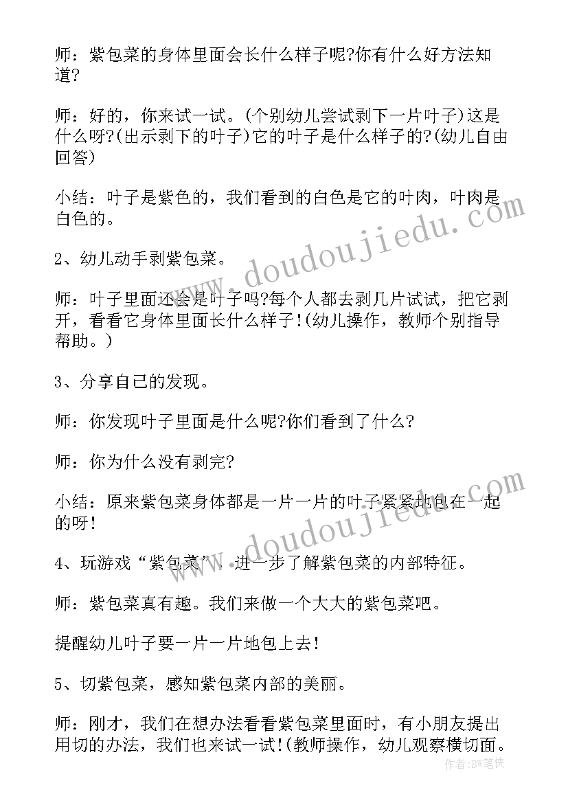 最新幼儿有趣活动简笔画 幼儿园中班有趣科学活动教案(大全7篇)