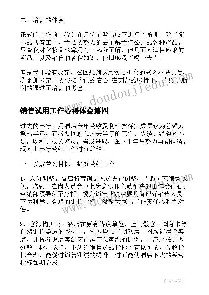 2023年销售试用工作心得体会(大全5篇)