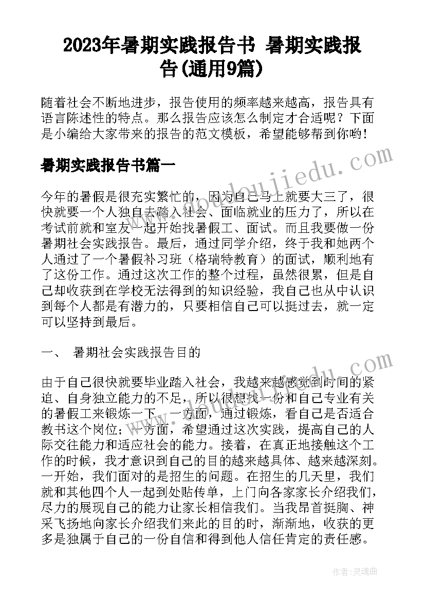 2023年暑期实践报告书 暑期实践报告(通用9篇)