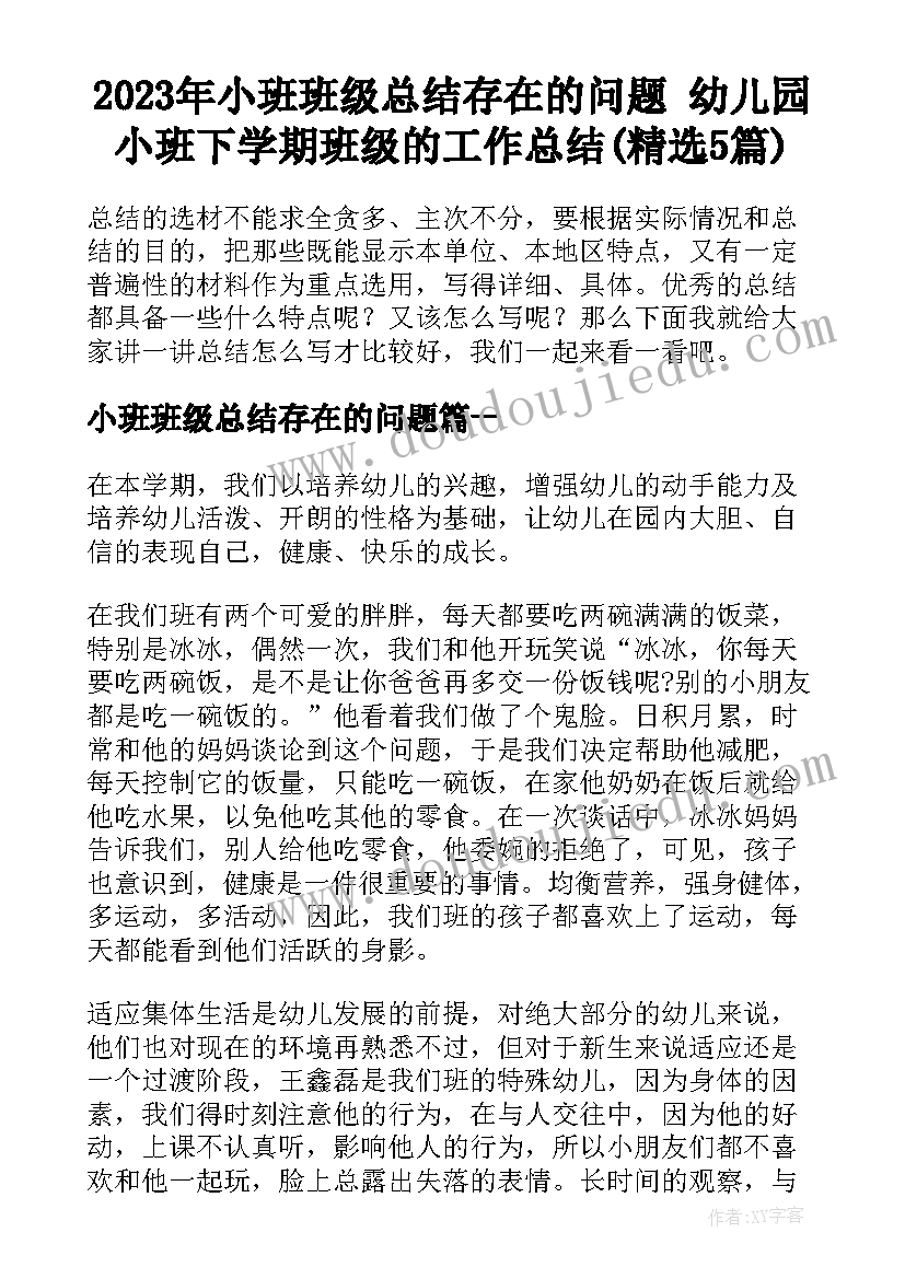 2023年小班班级总结存在的问题 幼儿园小班下学期班级的工作总结(精选5篇)