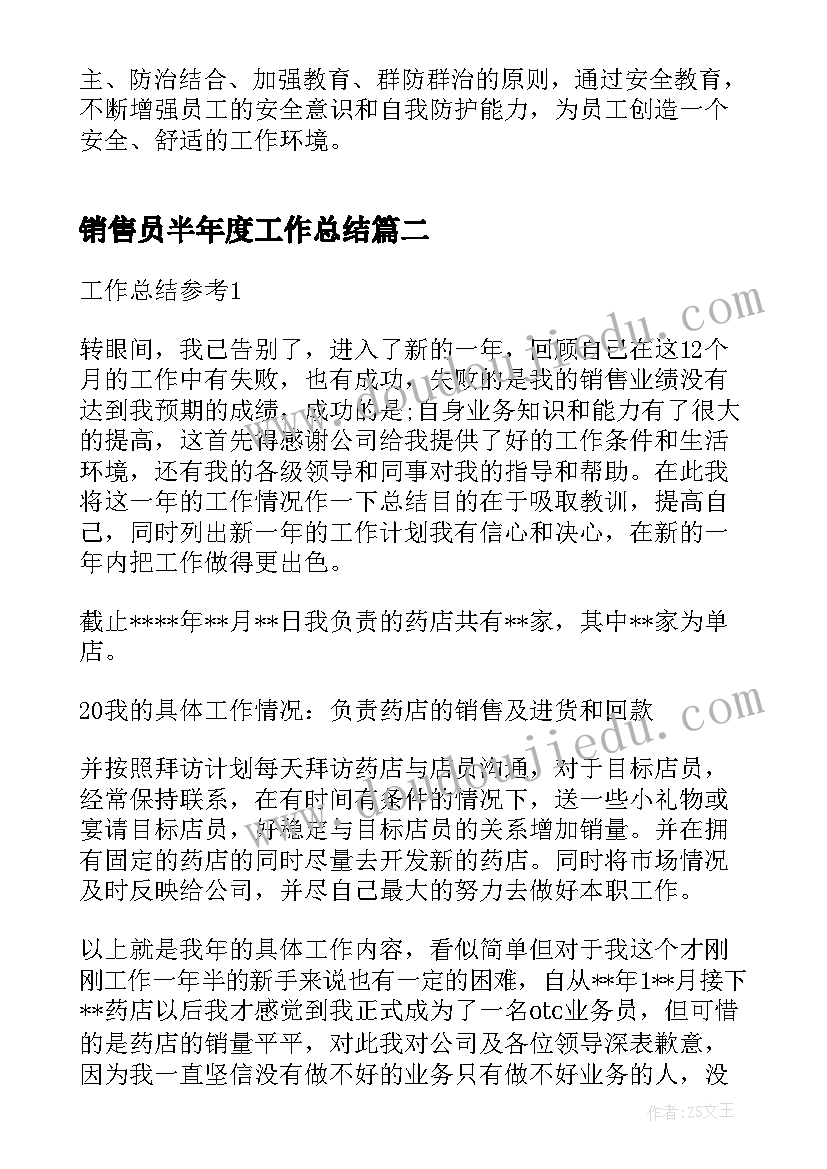 2023年销售员半年度工作总结(精选8篇)