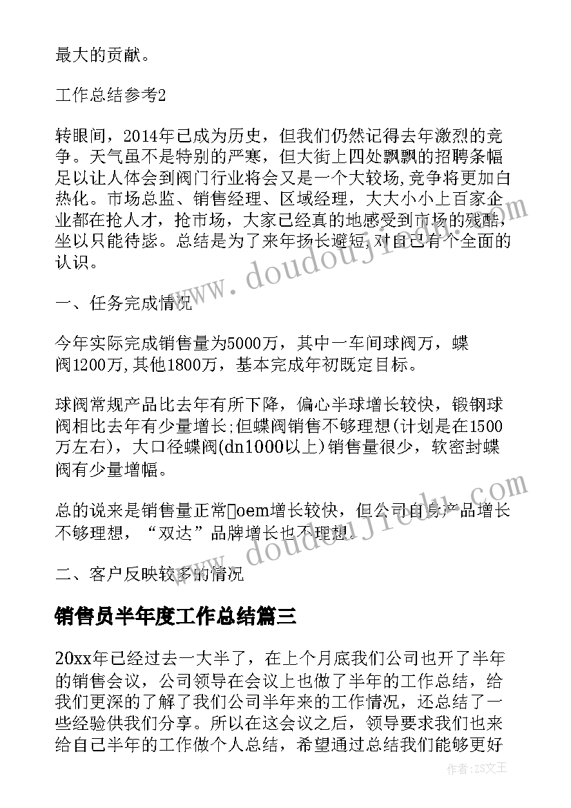 2023年销售员半年度工作总结(精选8篇)